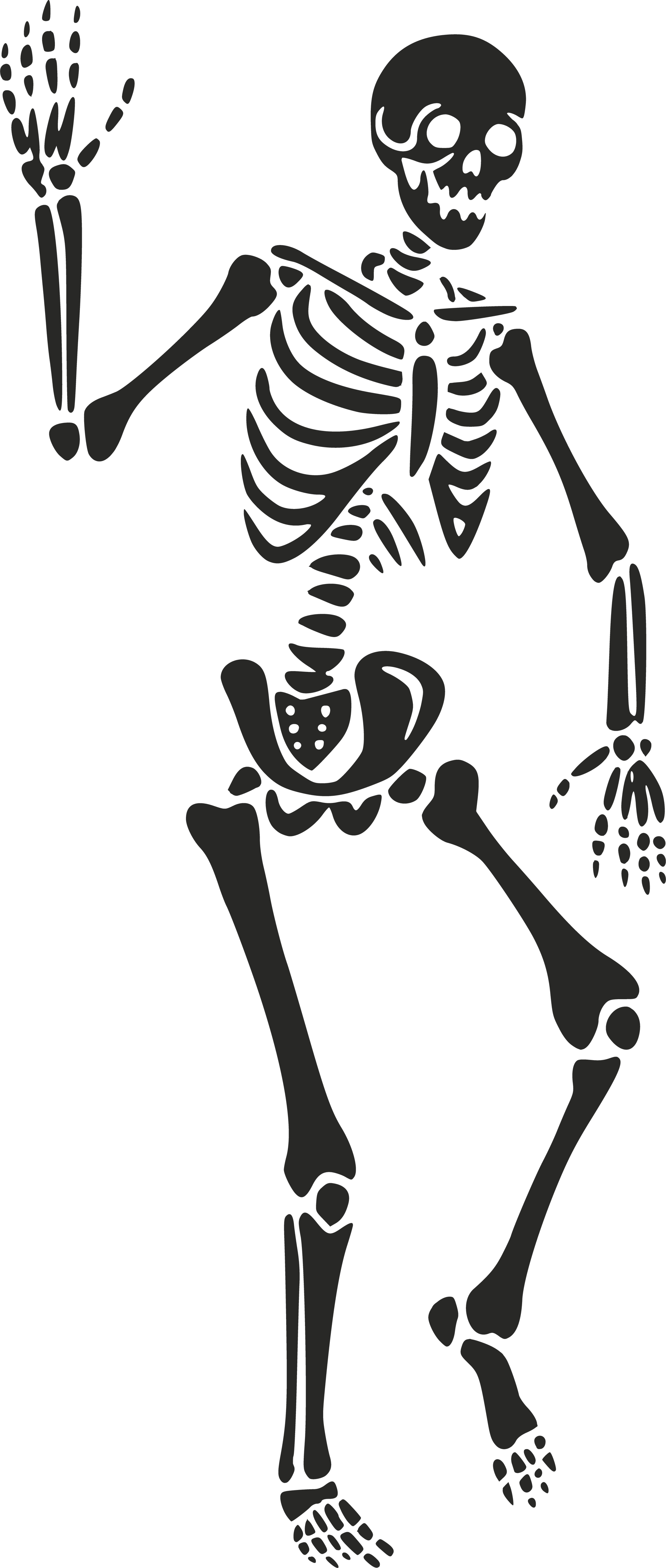 American Ruin - Exotic hand made leather bondage gear